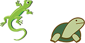 トカゲ・カメ