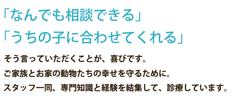 「なんでも相談できる」「うちの子に合わせてくれる」そう言って頂くことが、喜びです。ご家族とお家の動物たちの幸せを守るために。スタッフ一同、専門知識と経験を結集して、昭島市で診療しています。